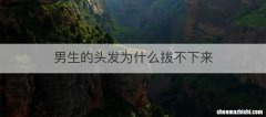 男生的头发为什么拔不下来