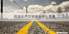 药品生产文号换发什么意思