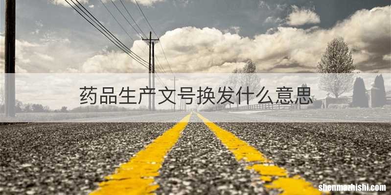 药品生产文号换发什么意思