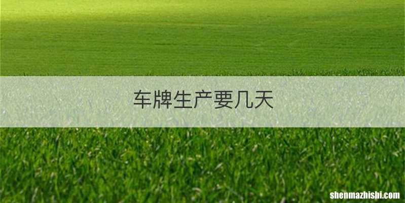 车牌生产要几天