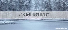 胡杨轮胎是哪里生产