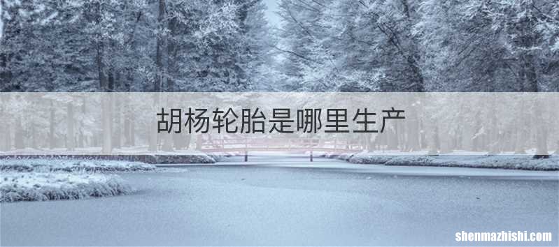 胡杨轮胎是哪里生产
