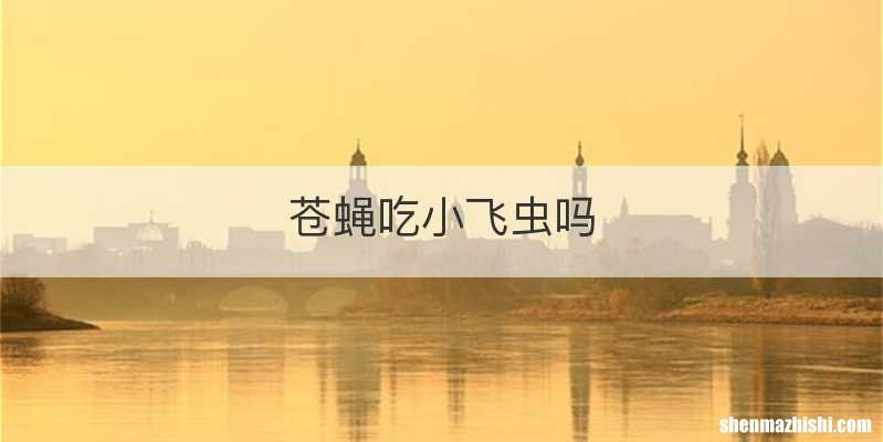 苍蝇吃小飞虫吗