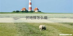 伏地撑怎么做