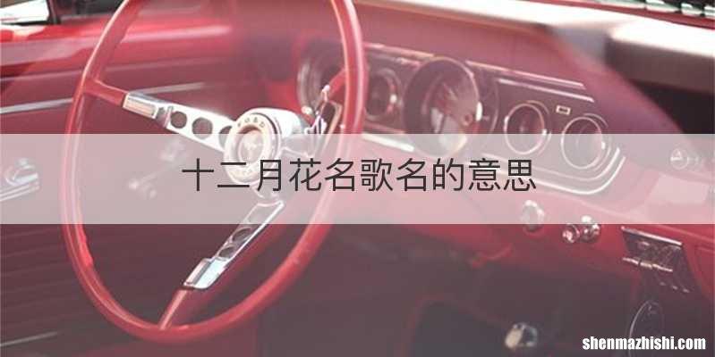 十二月花名歌名的意思