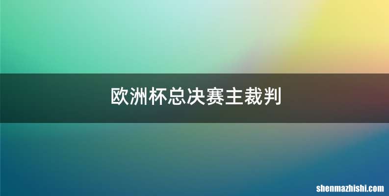 欧洲杯总决赛主裁判