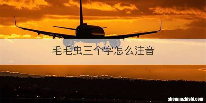 毛毛虫三个字怎么注音