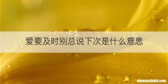 爱要及时别总说下次是什么意思