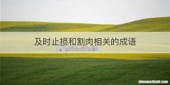 及时止损和割肉相关的成语