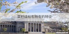 菜籽绿松石特有的特征