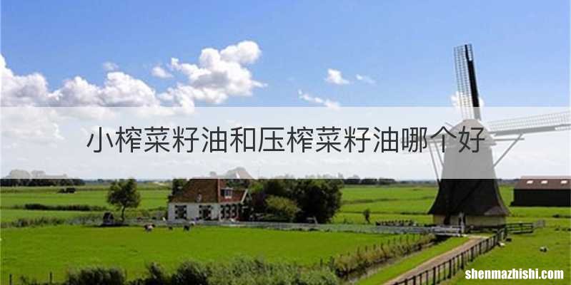 小榨菜籽油和压榨菜籽油哪个好