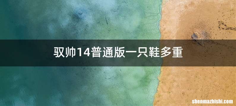 驭帅14普通版一只鞋多重