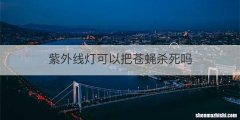 紫外线灯可以把苍蝇杀死吗