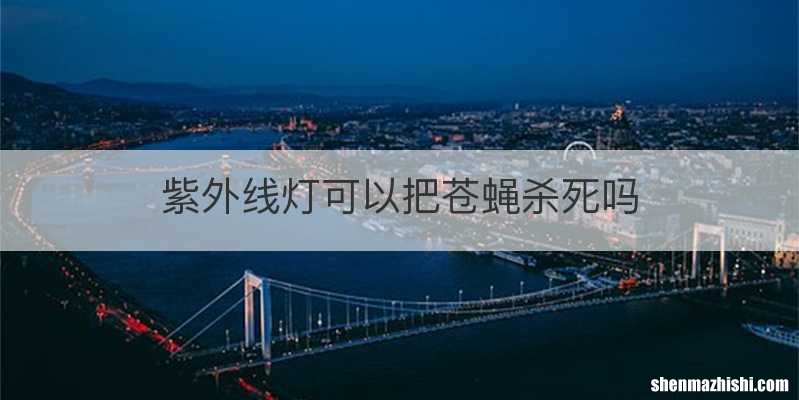 紫外线灯可以把苍蝇杀死吗