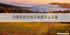 鸿蒙系统充电不息屏怎么设置