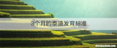 3个月的泰迪发育标准