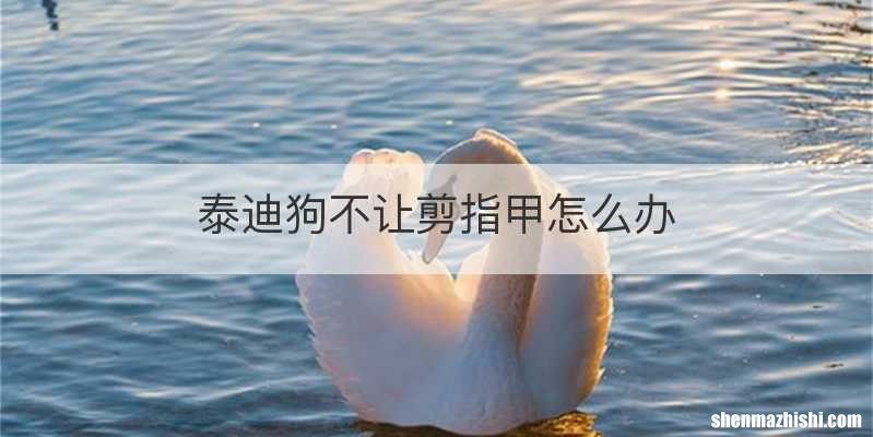 泰迪狗不让剪指甲怎么办