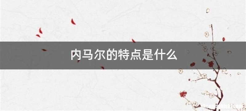 内马尔的特点是什么