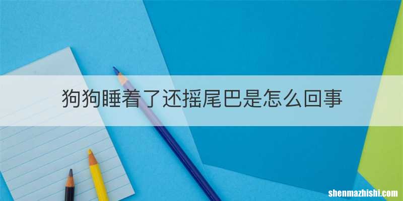 狗狗睡着了还摇尾巴是怎么回事