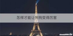 怎样才能让狗狗变得厉害