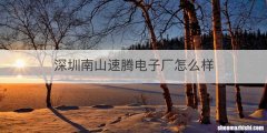 深圳南山速腾电子厂怎么样