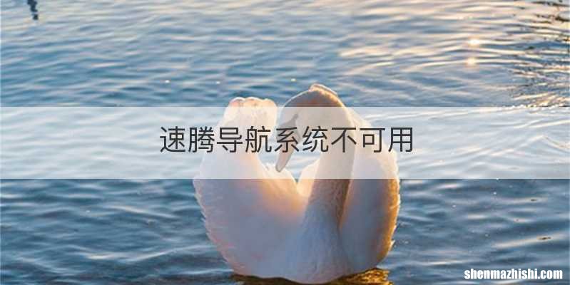 速腾导航系统不可用