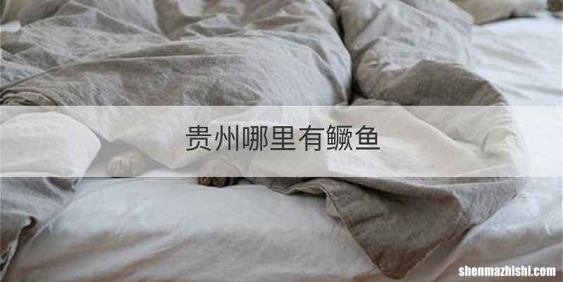 贵州哪里有鳜鱼