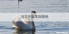 浅空天胧实际颜色