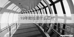 19年欧拉是什么芯片