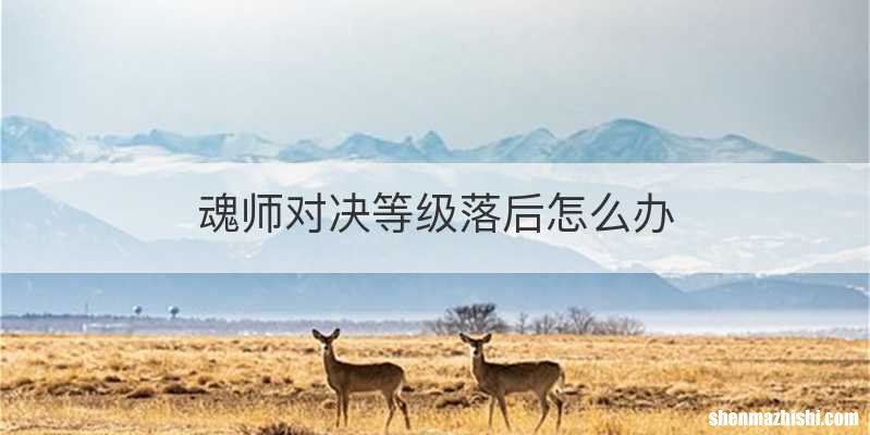 魂师对决等级落后怎么办