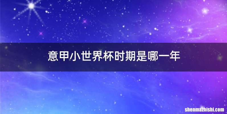 意甲小世界杯时期是哪一年