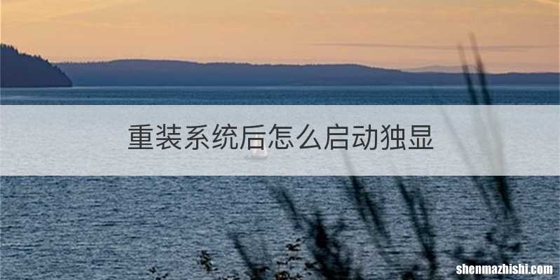 重装系统后怎么启动独显