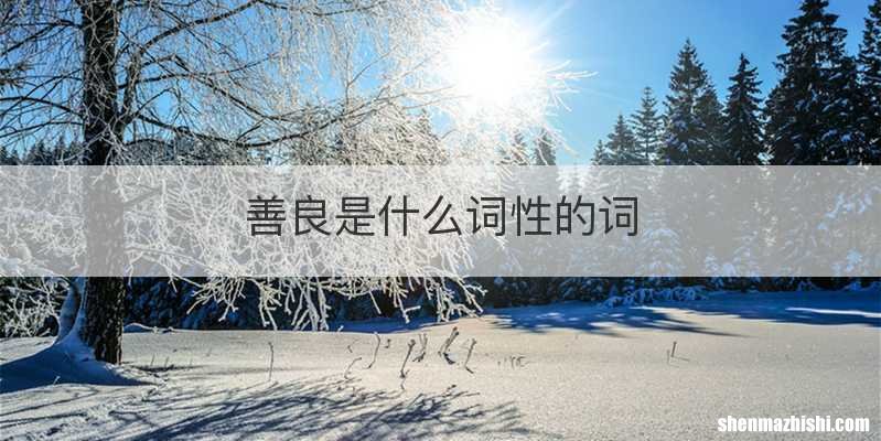 善良是什么词性的词
