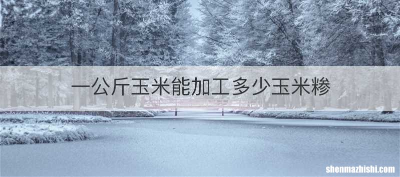 一公斤玉米能加工多少玉米糁