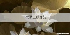 b大调三级和弦