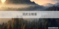 凉皮含糖量