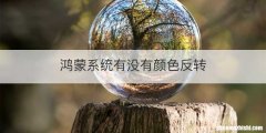 鸿蒙系统有没有颜色反转