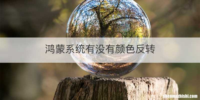 鸿蒙系统有没有颜色反转