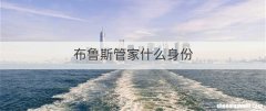 布鲁斯管家什么身份