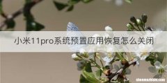 小米11pro系统预置应用恢复怎么关闭
