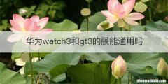 华为watch3和gt3的膜能通用吗