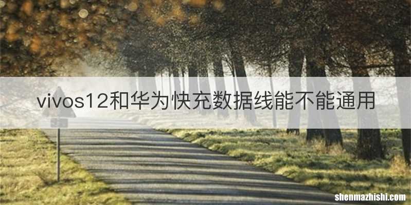 vivos12和华为快充数据线能不能通用