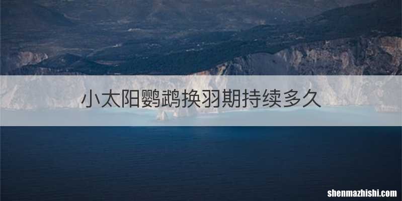 小太阳鹦鹉换羽期持续多久