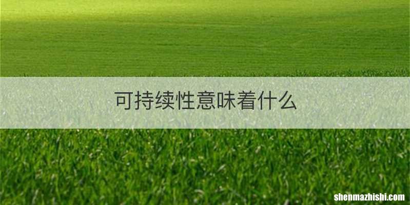可持续性意味着什么