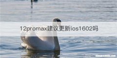 12promax建议更新ios1602吗