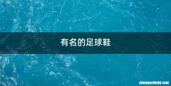 有名的足球鞋