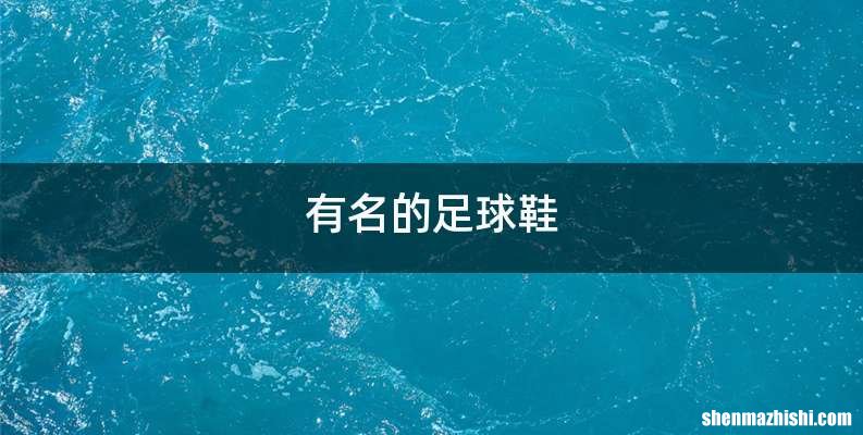 有名的足球鞋