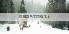 郑州音乐学院有几个