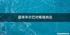 篮球毕尔巴对格瑞纳达