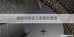 微笑向阳安之若素的意思